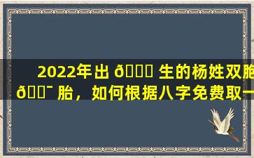 2022年出 🍁 生的杨姓双胞 🐯 胎，如何根据八字免费取一个好名字